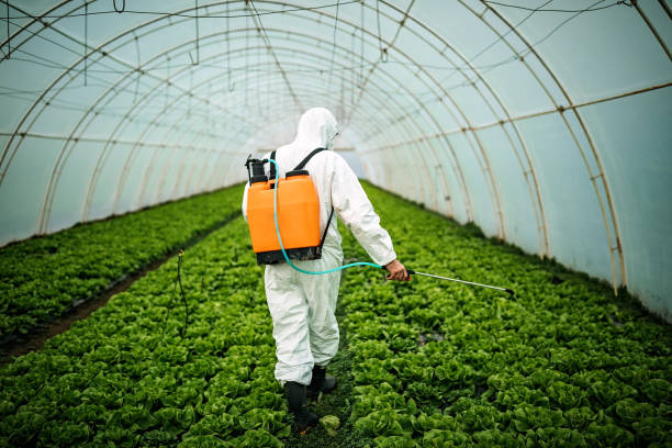 Best Pest Prevention Services  in Plattsburg, MO