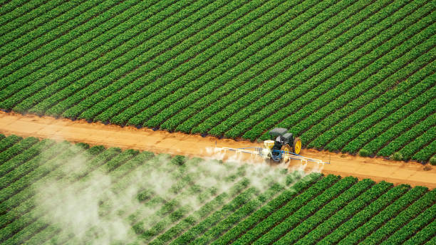 Best Pest Removal Services  in Plattsburg, MO